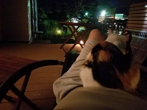 rblog-20180829102804-02.jpg