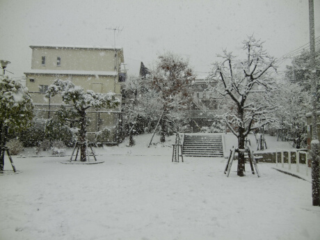 雪景色