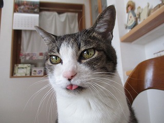 IMG_4100ss.jpg
