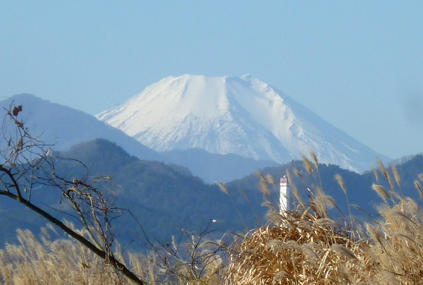 P1070523-001.JPG
