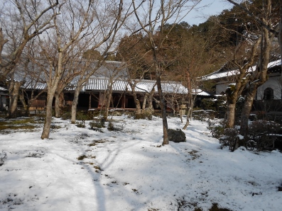 京都洛北　円光寺