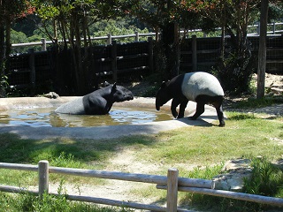 DSCF9593.JPG