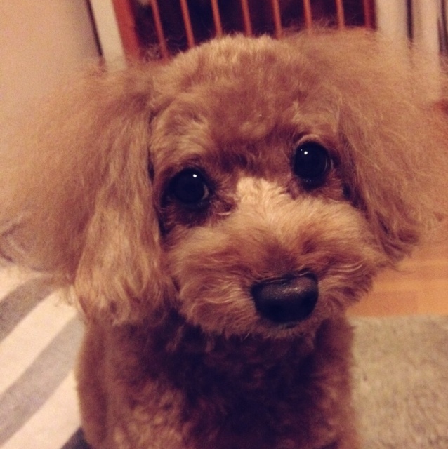 rblog-20131005090544-01.jpg