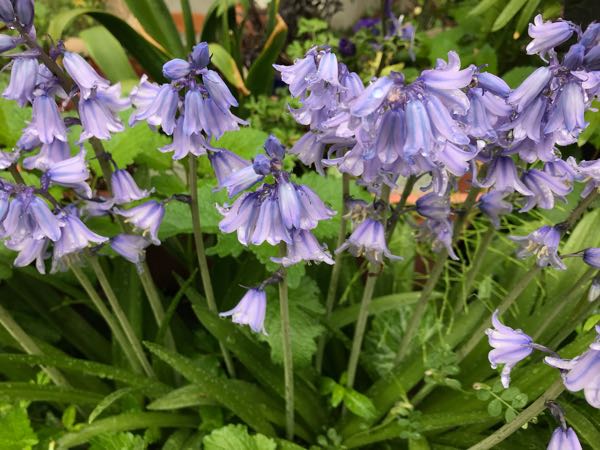 rblog-20190426180748-04.jpg