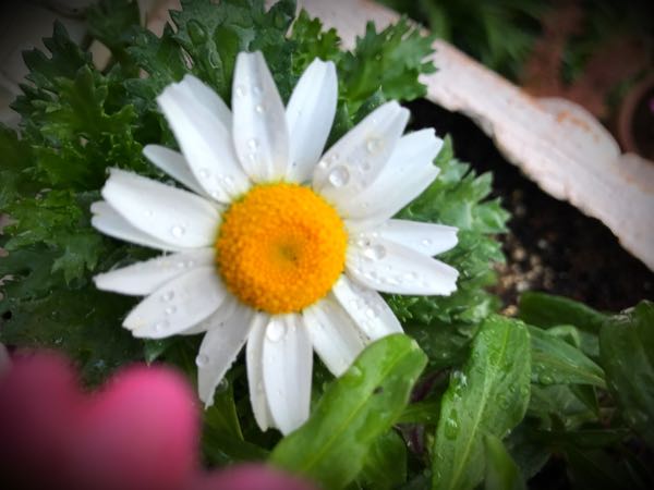 rblog-20161129162243-04.jpg