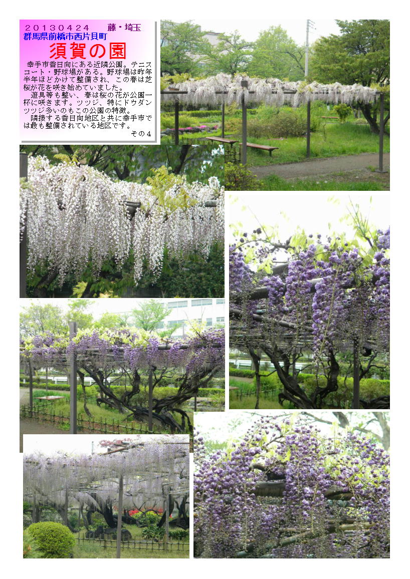 20130424suganosono4-fuzi.jpg