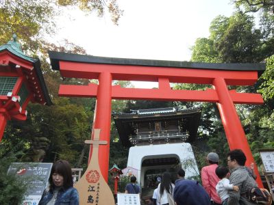 141102_Enoshima_06.jpg