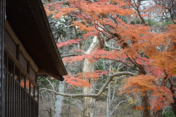 DSC_0040.JPG