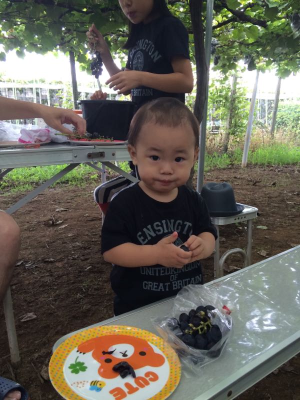 rblog-20150817005234-00.jpg