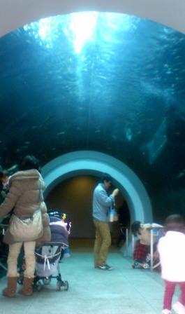魚のトンネル.jpg