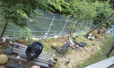 rblog-20140710153823-02.jpg