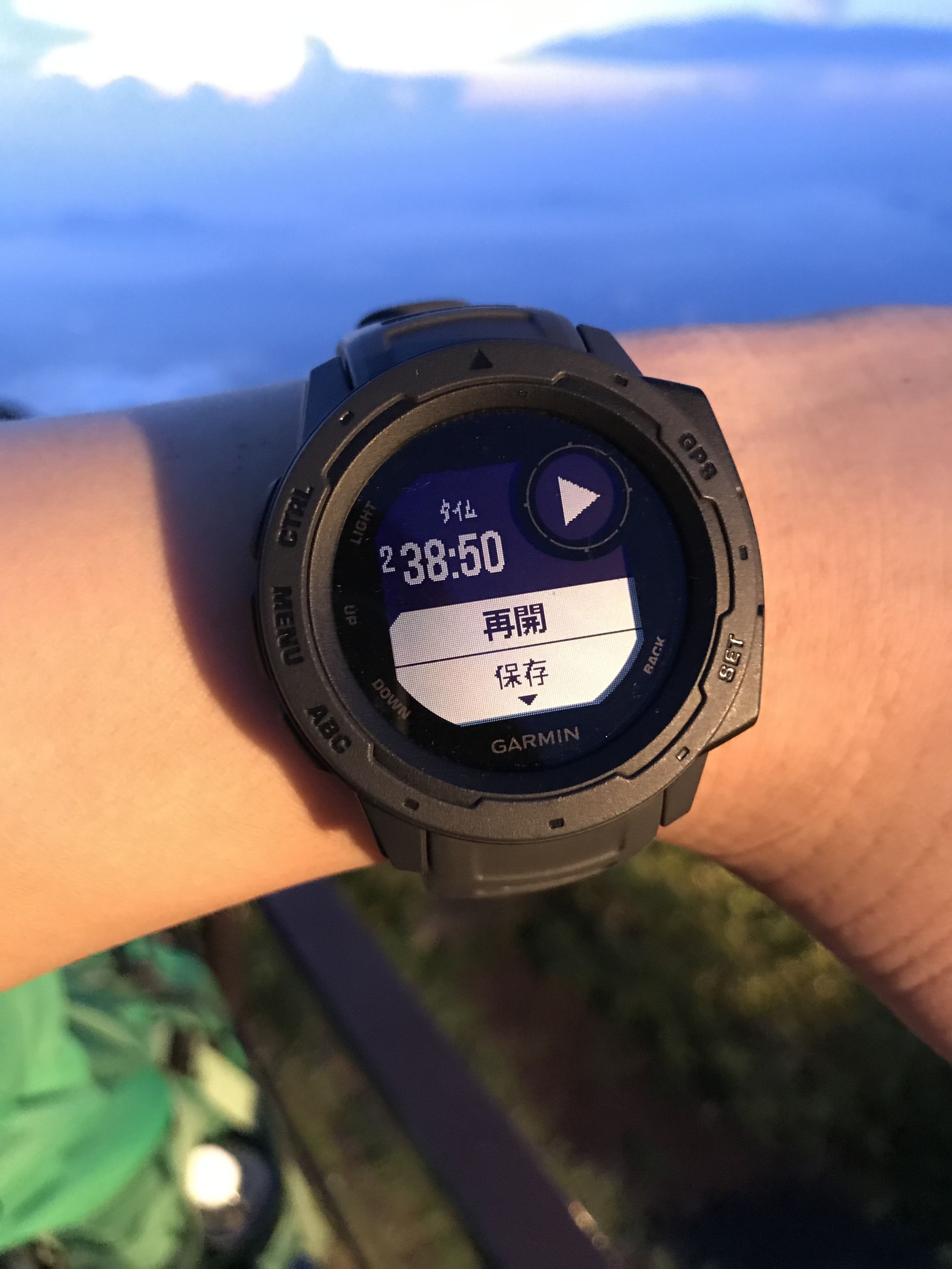 ガーミン,インスティンクト