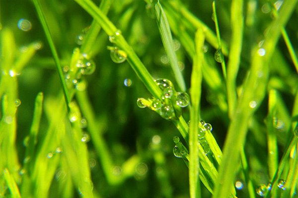 DSCF4649.jpg
