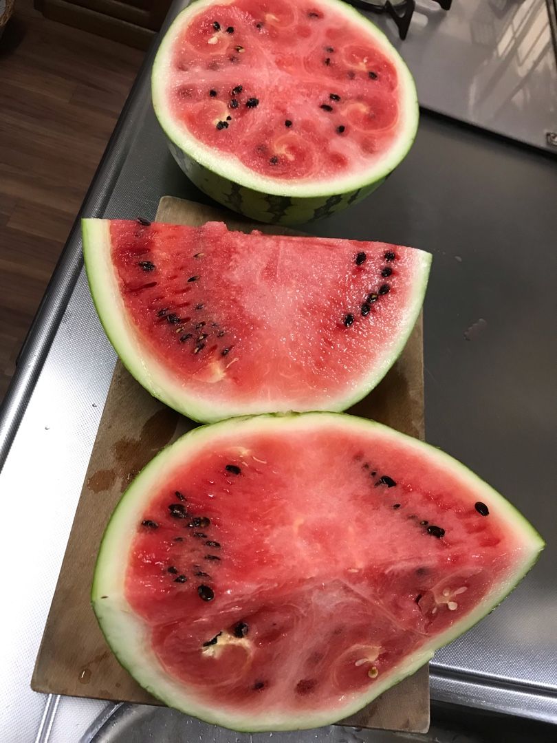 夏はスイカが美味い のん木ぶろぐ 楽天ブログ