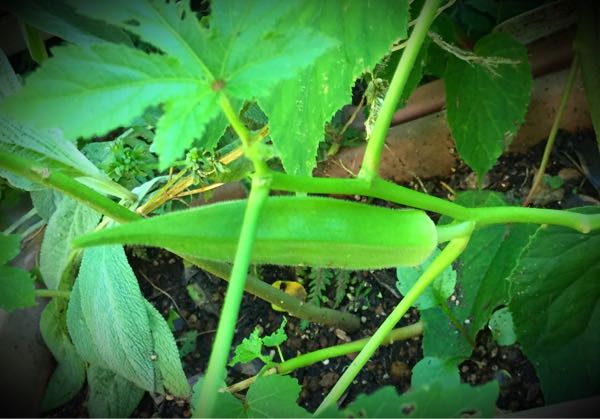 rblog-20160825215809-03.jpg