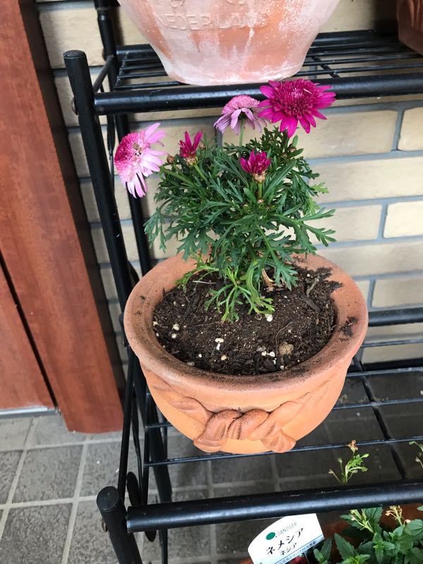 rblog-20190324174258-01.jpg