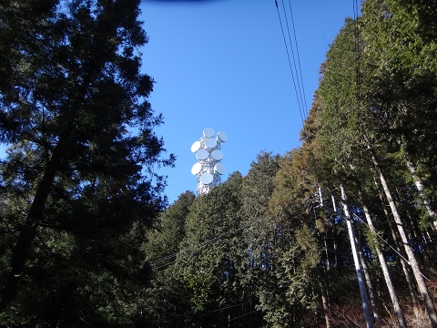 DSC07552.JPG