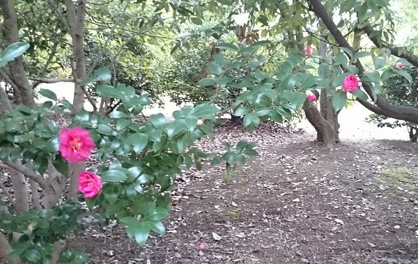 辰巳公園で