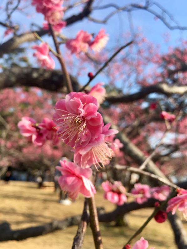 rblog-20180304233813-01.jpg