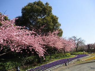 IMG_6857ss.jpg