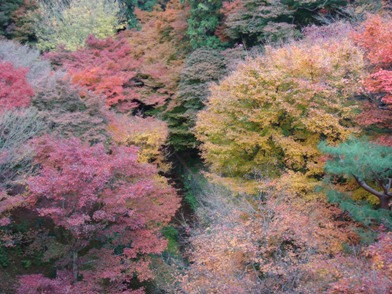 DSC04120.JPG