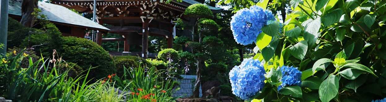 花景色 の記事一覧 清多夢くらぶ 楽天ブログ