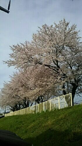 rblog-20170414081154-00.jpg