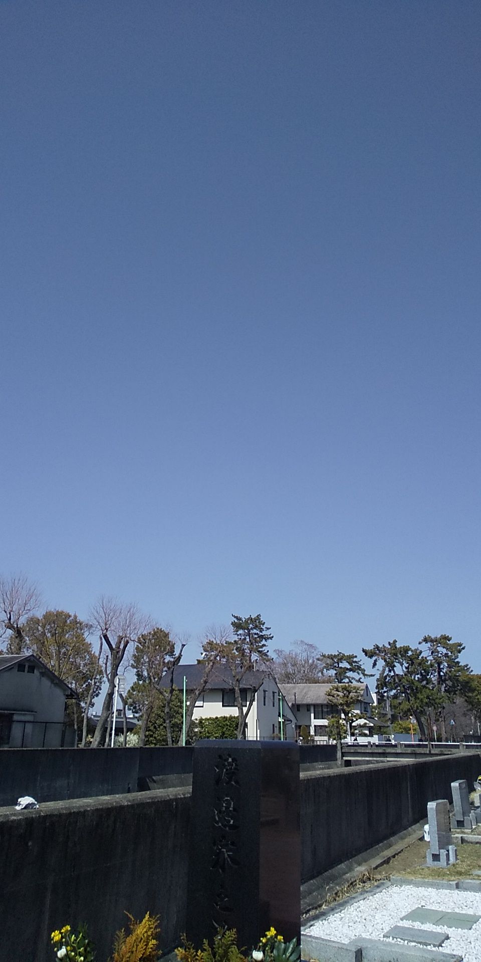 令和２年弥生２３日のブログ がんばらないけどあきらめない 楽天ブログ