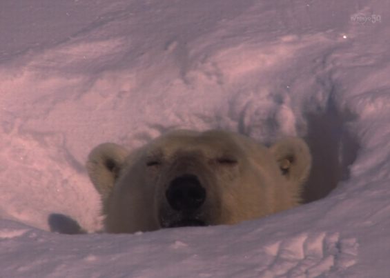 画像はイメージです