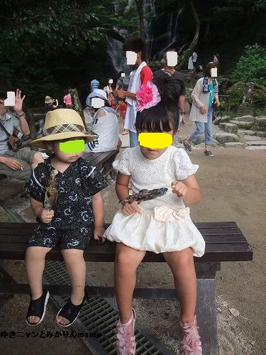 DSCF2562.jpg