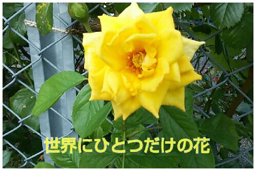 rblog-20160815200406-00.jpg
