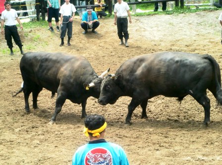 063 のコピー.jpg