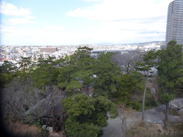 DSC01218_R.JPG