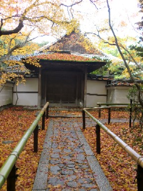 高桐院　2012秋２.jpg