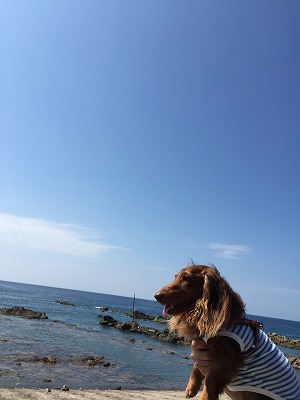 2015-08-29 12.10.10.jpg