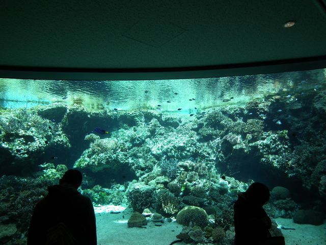 DSCF9155.JPG