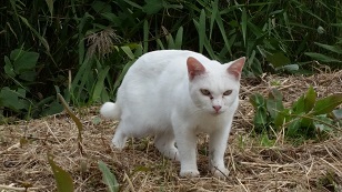 20151005_122239.jpg
