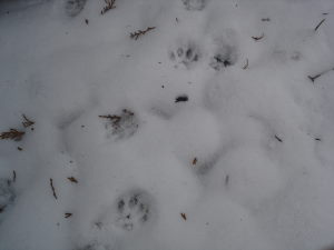 DSC07304.JPG