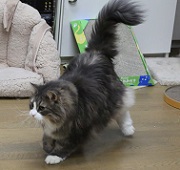 5DA_6654-15.jpg