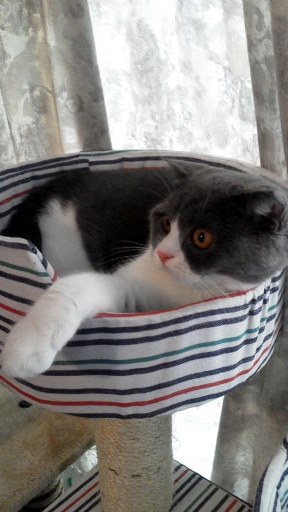 20140926133107.jpg