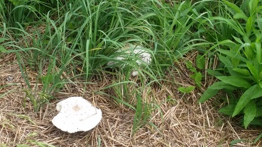 20160726_121659.jpg