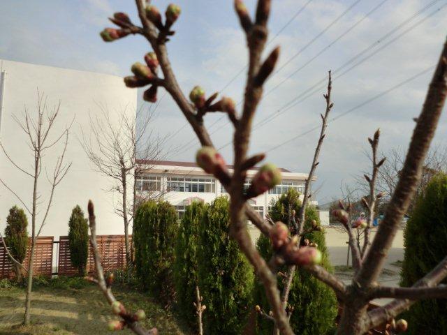 2012_0320_162134-CIMG0423.jpg