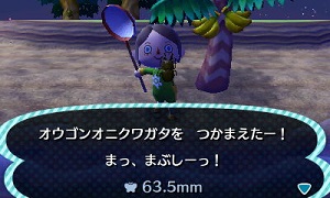 とびだせどうぶつの森　オウゴンオニクワガタ