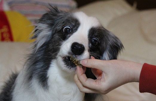 おいちー♪