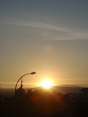 P1148628.JPG
