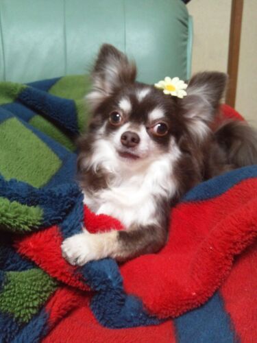 rblog-20140504203445-02.jpg