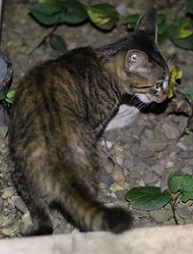 IMG_3755-7.jpg