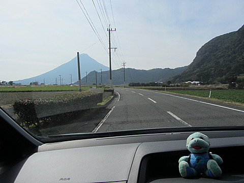IMG_2831.jpg