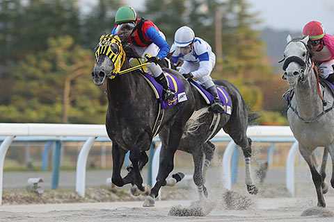 記事一覧 地方競馬の楽天競馬 日替わりライターブログ 楽天ブログ