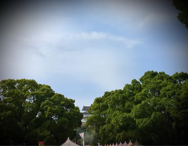 rblog-20170611214806-04.jpg